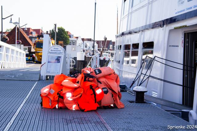 20240626-img-5511 - Afbeelding 1 van 39