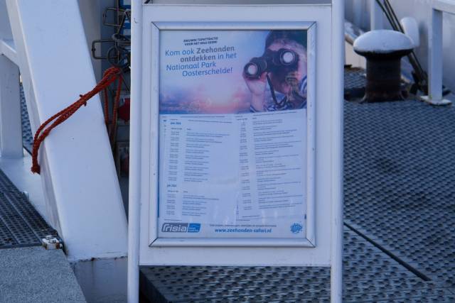 20240626-img-5512 - Afbeelding 2 van 39