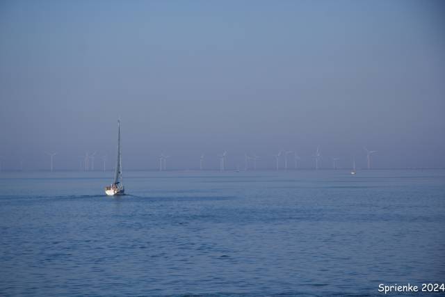 20240626-img-5527 - Afbeelding 7 van 39