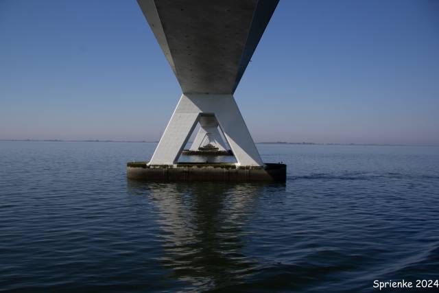 20240626-img-5536 - Afbeelding 8 van 39