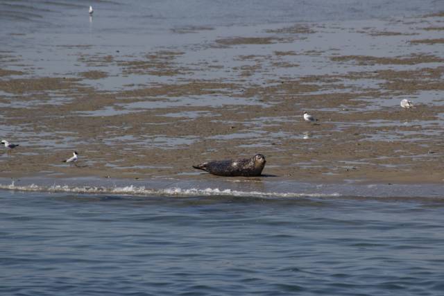 20240626-img-5546 - Afbeelding 13 van 39