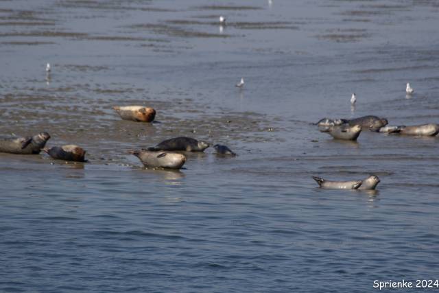 20240626-img-5547 - Afbeelding 14 van 39