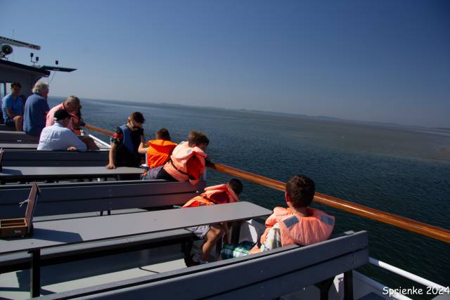 20240626-img-5555 - Afbeelding 17 van 39