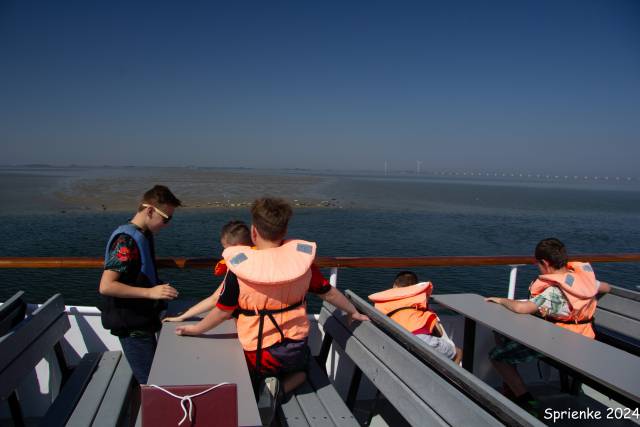 20240626-img-5556 - Afbeelding 18 van 39