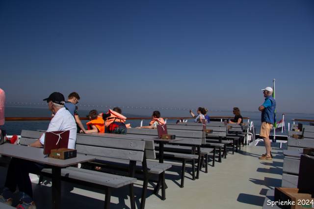 20240626-img-5559 - Afbeelding 20 van 39