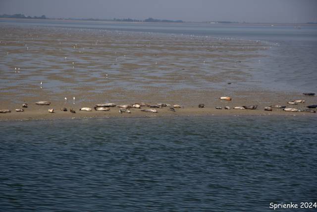 20240626-img-5562 - Afbeelding 22 van 39