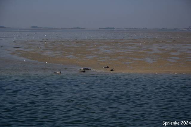 20240626-img-5564 - Afbeelding 24 van 39