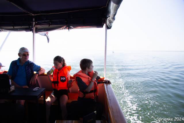 20240626-img-5571 - Afbeelding 28 van 39