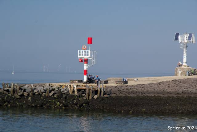 20240626-img-5585 - Afbeelding 29 van 39