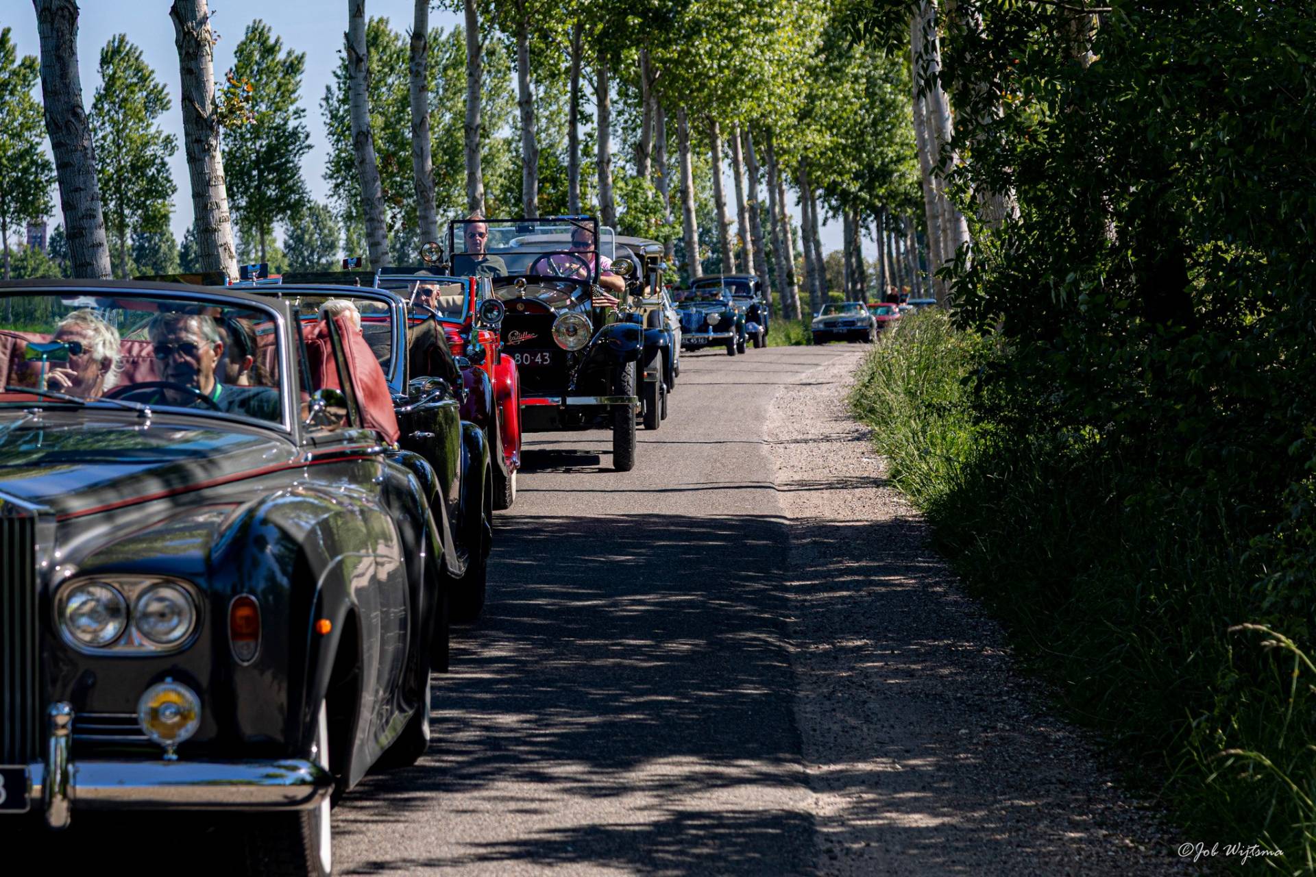 498246491-1147538207403014-1388368534717079057-n